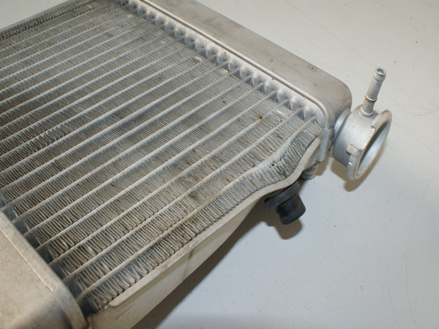 HONDA FES 125 JF12 PANTHEON KÜHLER RADIADOR DE AGUA