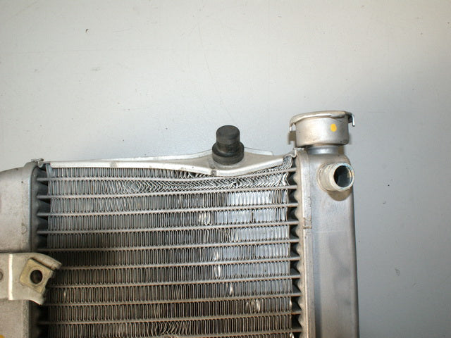 HONDA FES 125 JF12 PANTHEON KÜHLER WATER COOLER
