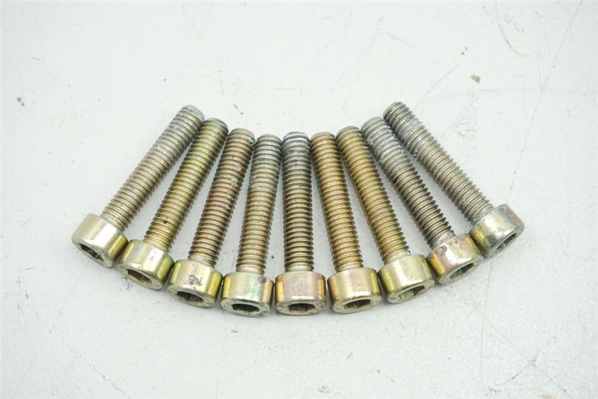 APRILIA RS 125 RD SCHRAUBEN LIMADECKEL SCREWS MOTORDECKEL