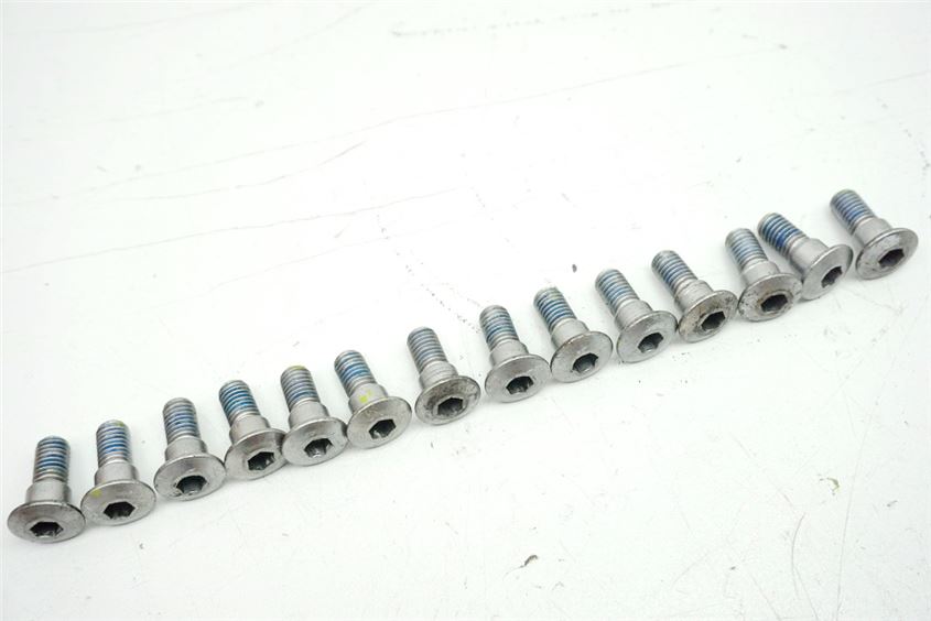 SUZUKI DL 650 V-STROM WVB1 SCHRAUBEN BREMSSCHEIBEN SCREWS
