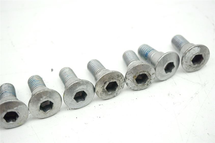 SUZUKI DL 650 V-STROM WVB1 SCHRAUBEN BREMSSCHEIBEN SCREWS