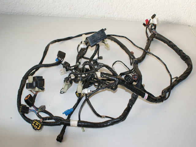 YAMAHA XVZ 1300 VP09 ROYAL STAR CABLEADO ELÉCTRICO