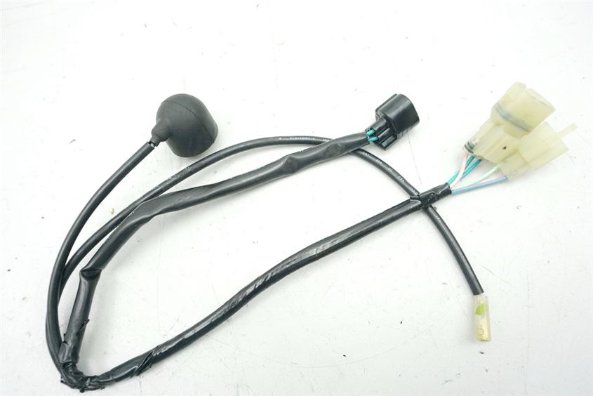 HONDA CBF 600 S ABS PC38 CABLEADO INTERRUPTOR DE PUNTO MUERTO INTERRUPTOR DE PRESIÓN DE ACEITE CABLE