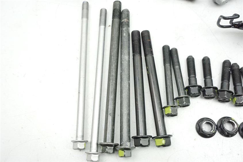 YAMAHA MT01 RP18 MOTORHALTER HALTERUNG MOTOR ACHSE BOLZEN SCHRAUBEN