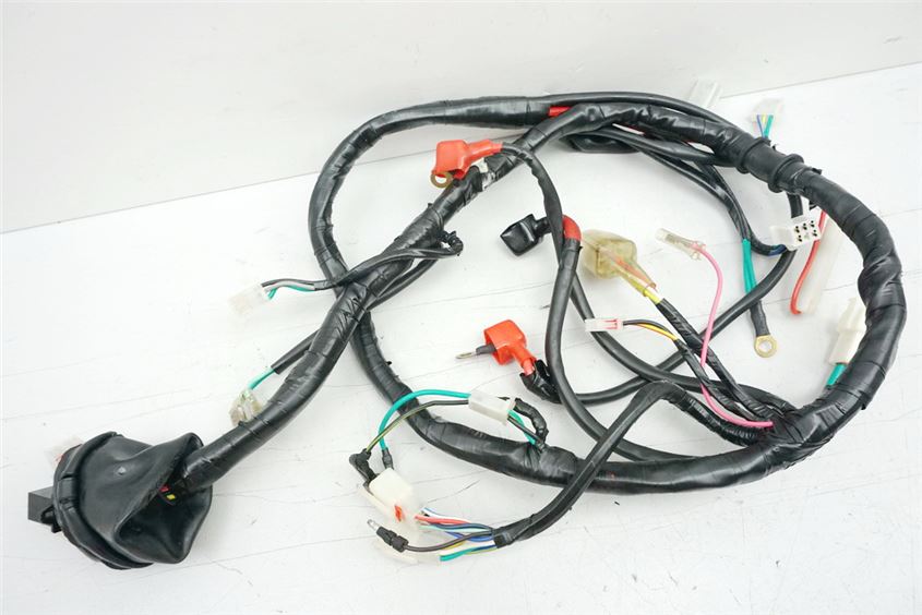 KYMCO NEXXON 50 CK50Q-B KABELBAUM WIRE HARNESS
