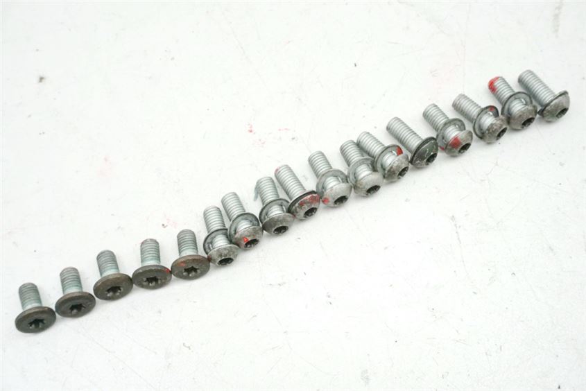 BMW R 850 R 259 SCREWS BRAKE DISCS FRONT & REAR