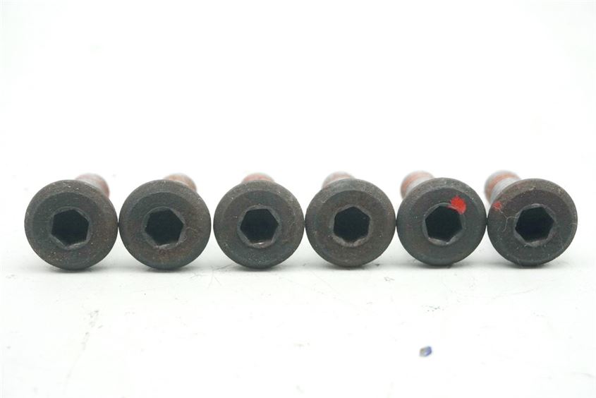 HONDA FJS 600 PF01 SILVER WING TORNILLOS DISCO DE FRENO DELANTERO Y TRASERO SCREWS