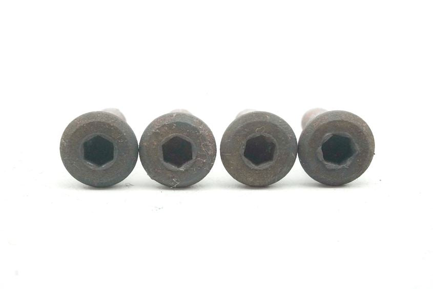 HONDA FJS 600 PF01 SILVER WING SCHRAUBEN BREMSSCHEIBE VORN & HINTEN SCREWS