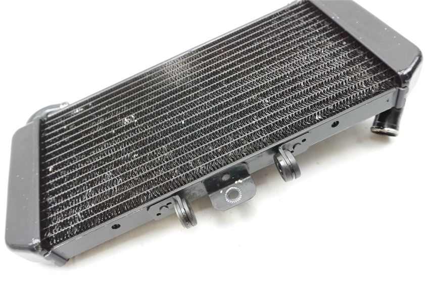 YAMAHA FZS 600 RJ02 FAZER RADIADOR REFRIGERADOR DE AGUA