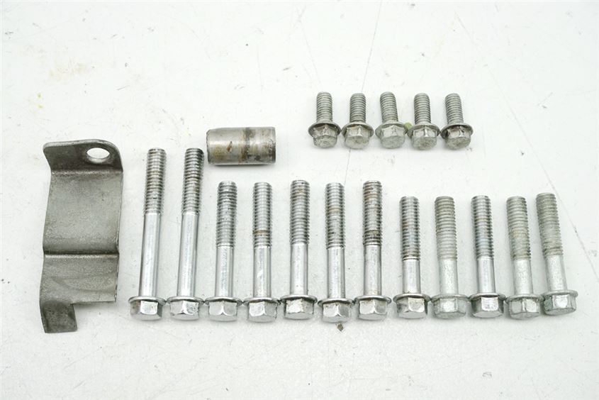 SUZUKI VS 1400 VX51L INTRUDER TORNILLOS TAPA DE ALTERNADOR TORNILLOS DE ESTATOR