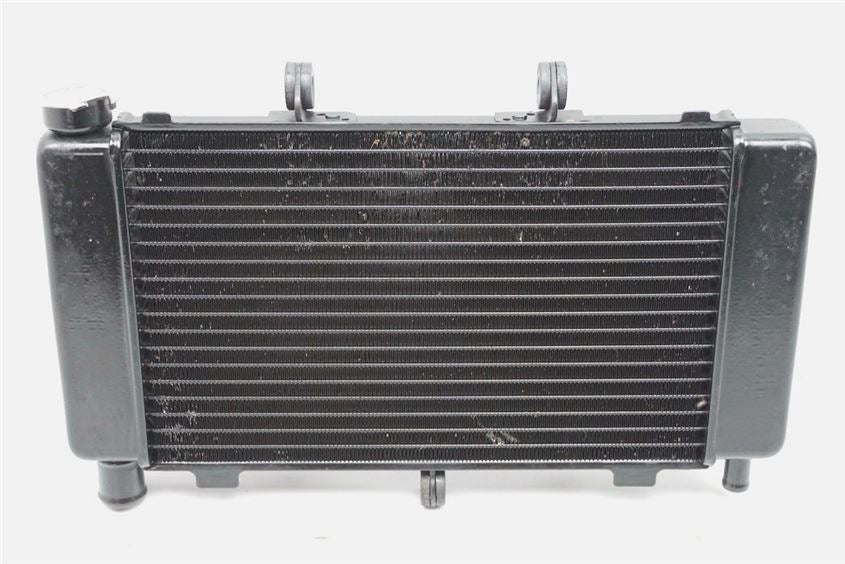 YAMAHA FZ6 N RJ07 RADIADOR DE AGUA
