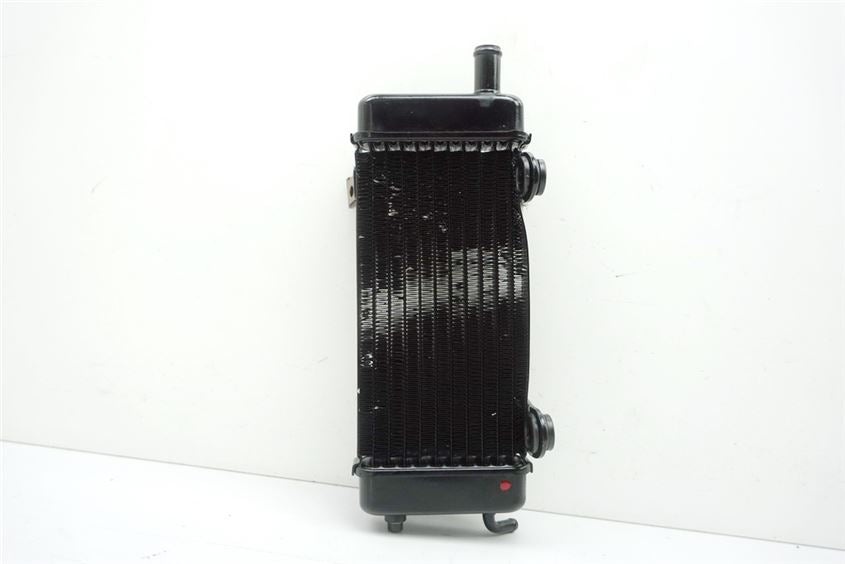 MZ / MUZ SX 125 SNZ1SX (SM) RADIADOR IZQUIERDO RADIADOR DE AGUA WATER COOLER