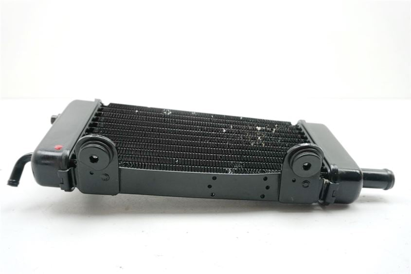 MZ / MUZ SX 125 SNZ1SX (SM) RADIADOR IZQUIERDO RADIADOR DE AGUA WATER COOLER