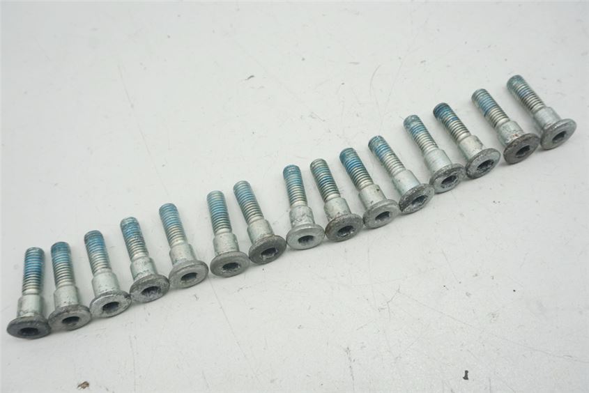 SUZUKI GSX 750 AE INAZUMA TORNILLOS DISCOS DE FRENO DELANTEROS Y TRASEROS