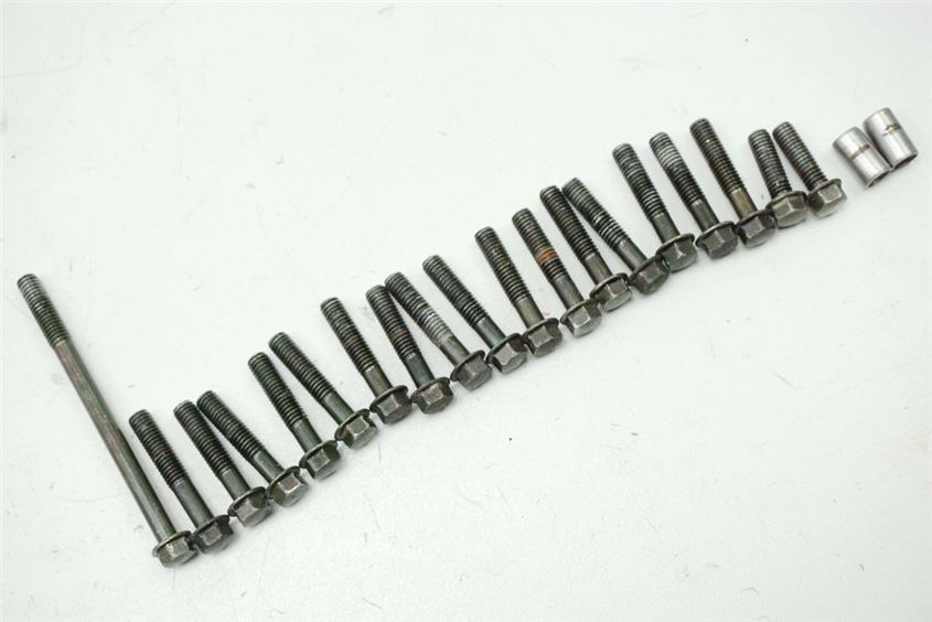 KAWASAKI KLR 650 KL650 A B TENGAI TORNILLOS TAPA DE EMBRAGUE CUBIERTA DE MOTOR