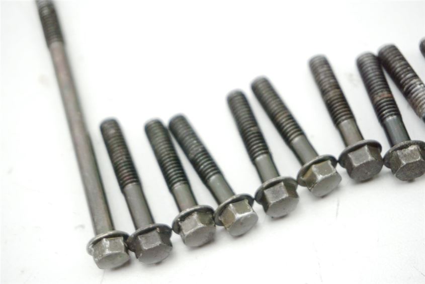 KAWASAKI KLR 650 KL650 A B TENGAI TORNILLOS TAPA DE EMBRAGUE CUBIERTA DE MOTOR