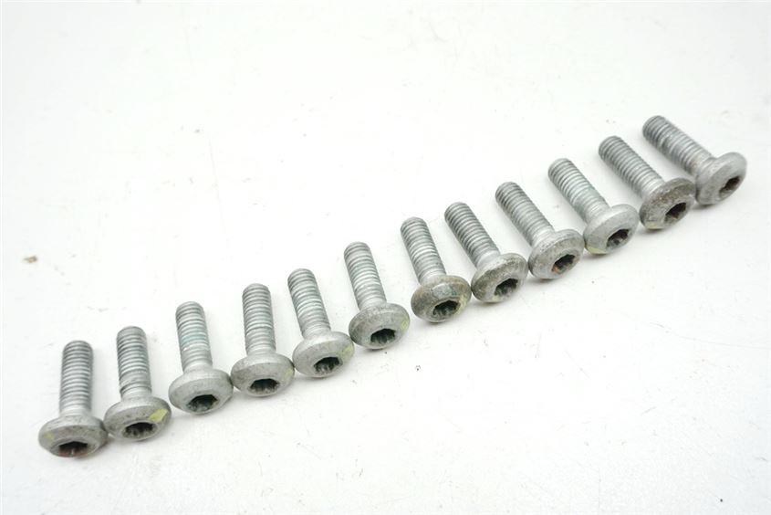 YAMAHA FZS 600 RJ02 FAZER TORNILLOS DISCOS FRENO DELANTEROS