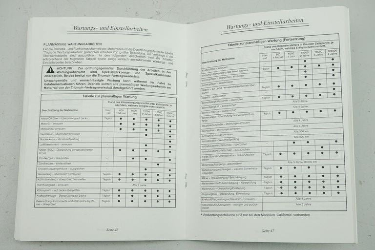 MANUAL INSTRUCCIONES TRIUMPH DAYTONA 600 03-06