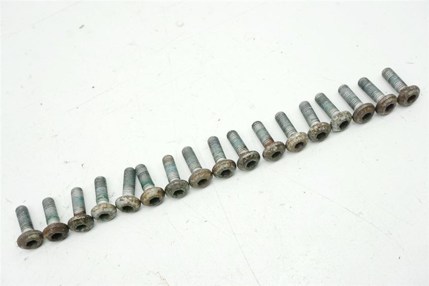 YAMAHA YZF 600 4TV THUNDERCAT SCREWS BRAKE DISCS FRONT & REAR