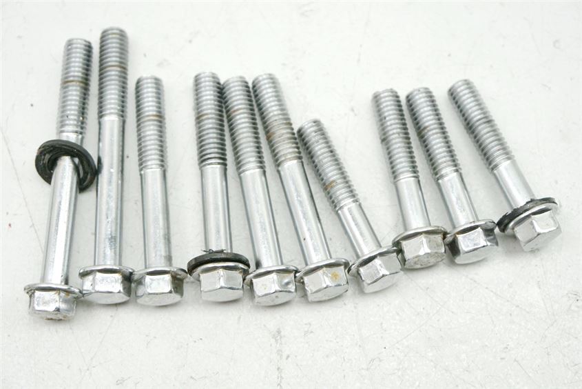 SUZUKI VS 800 VS52A/B INTRUDER TORNILLOS TAPA ALTERNADOR