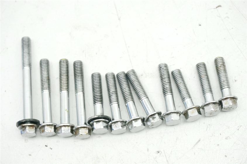 SUZUKI VS 1400 VX51L INTRUDER TORNILLOS TAPA DE EMBRAGUE TAPA DE MOTOR