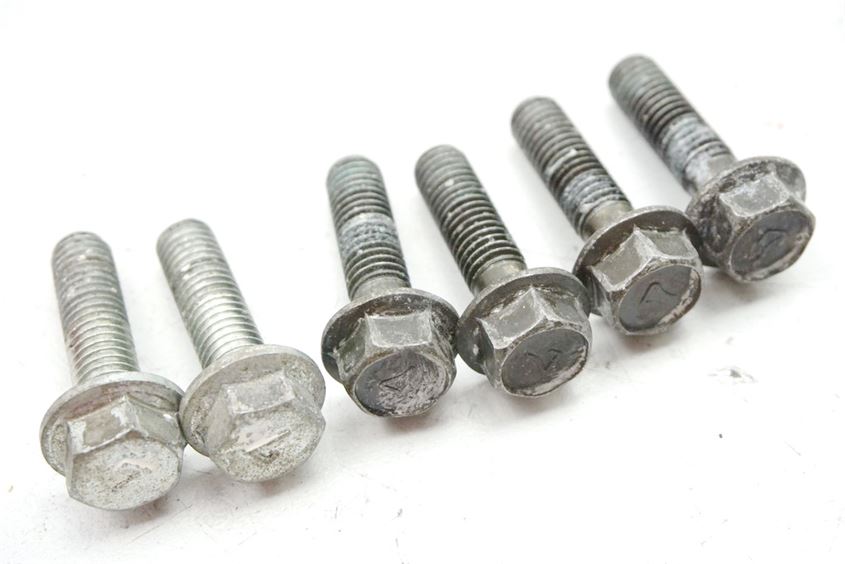SUZUKI RF 600 GN76B TORNILLOS PINZA DE FRENO DELANTERA Y TRASERA
