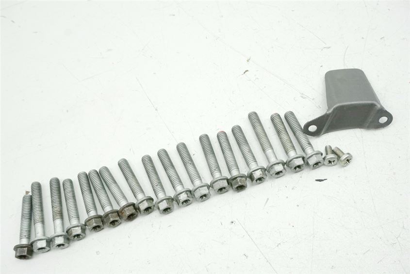 BMW F 800 ST A E8ST K71 TORNILLOS TAPA ALTERNADOR CUBIERTA MOTOR TAPA MOTOR