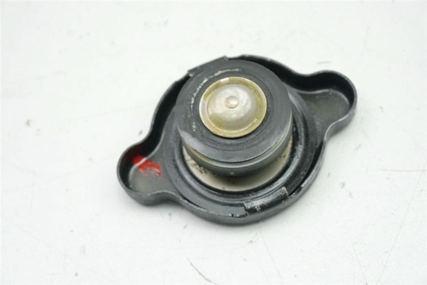 SUZUKI AN 650 ABS WVBU BURGMAN EXECUT TAPA RADIADOR CUBIERTA RADIADOR
