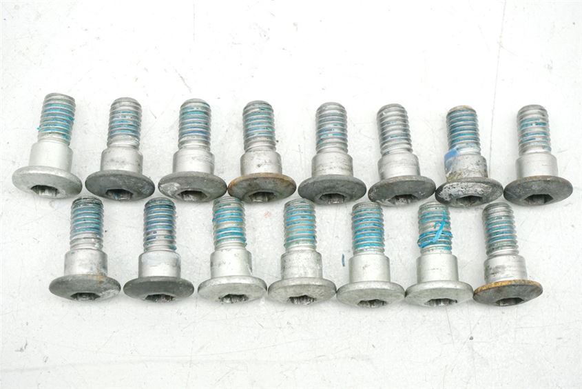 SUZUKI AN 650 ABS WVBU BURGMAN EXECUT SCHRAUBEN BREMSSCHEIBEN VORN & HINTEN