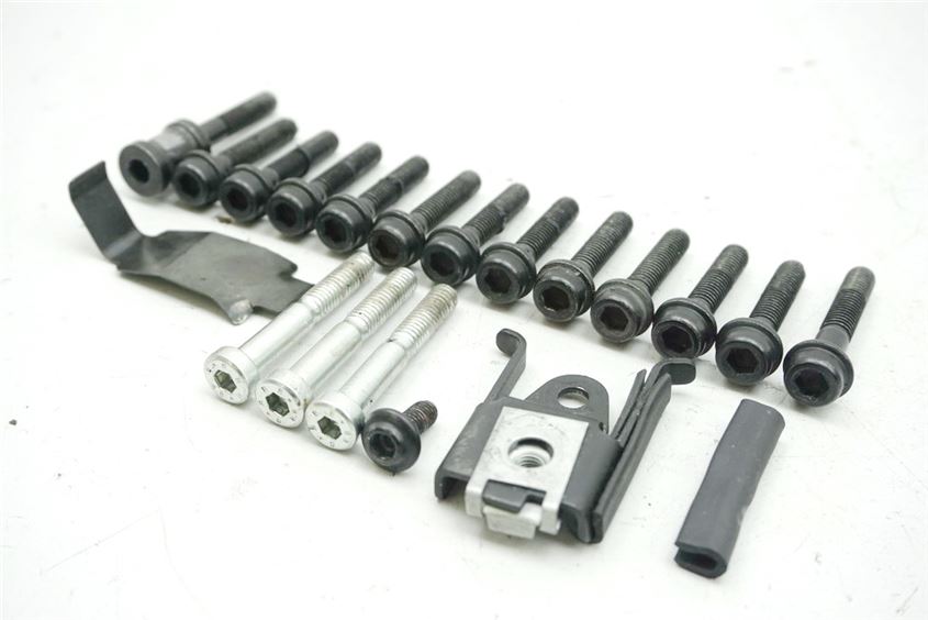 DUCATI SUPERSPORT 939 SCHRAUBEN LIMADECKEL MOTORDECKEL STATOR