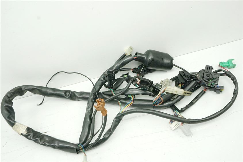 APRILIA ETV 1000 CAPO NORD CABLEADO SISTEMA DE INYECCIÓN MOTOR ELÉCTRICO CABLES ENCENDIDO