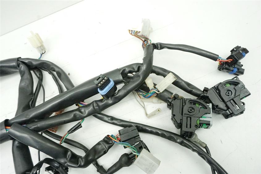 APRILIA ETV 1000 CAPO NORD CABLEADO SISTEMA DE INYECCIÓN MOTOR ELÉCTRICO CABLES ENCENDIDO