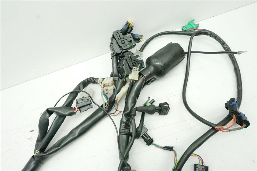 APRILIA ETV 1000 CAPO NORD KABELBAUM EINSPRITZANLAGE MOTOR ELEKTRIK KABEL ZÜNDUNG