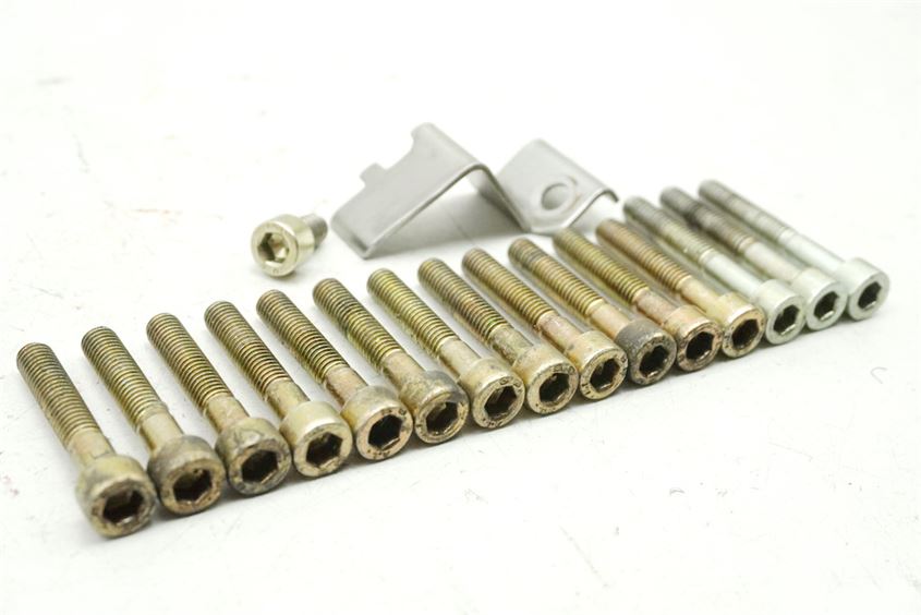 APRILIA ETV 1000 CAPO NORD SCHRAUBEN LIMADECKEL MOTORDECKEL STATOR