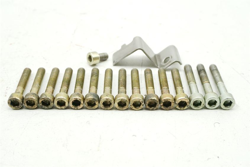 APRILIA ETV 1000 CAPONORD SCREWS GENERATOR COVER ENGINE COVER STATOR