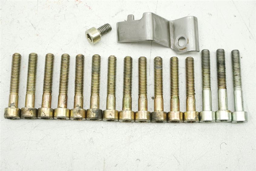 APRILIA ETV 1000 CAPONORD SCREWS GENERATOR COVER ENGINE COVER STATOR