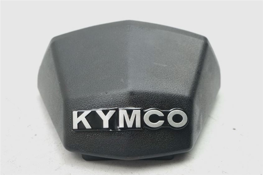 KYMCO DOWNTOWN 125 i KENNZEICHENBELEUCHTUNG ABDECKUNG COVER