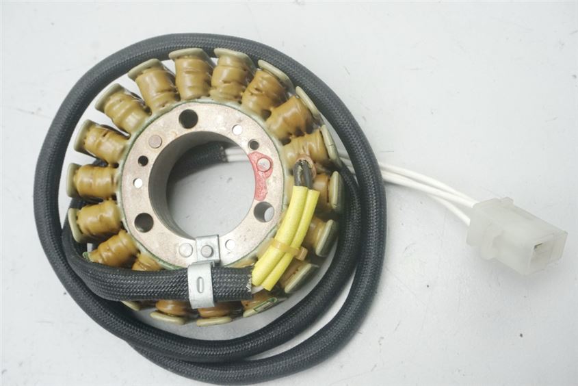 YAMAHA XJ 600 S RJ01 DIVERSION PLATO MAGNÉTICO ESTATOR ALTERNADOR - 15836 KM