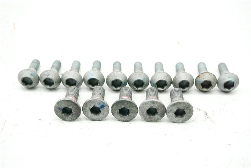 YAMAHA FZ6 S RJ14 S2 TORNILLOS DISCOS DE FRENO DELANTEROS Y TRASEROS