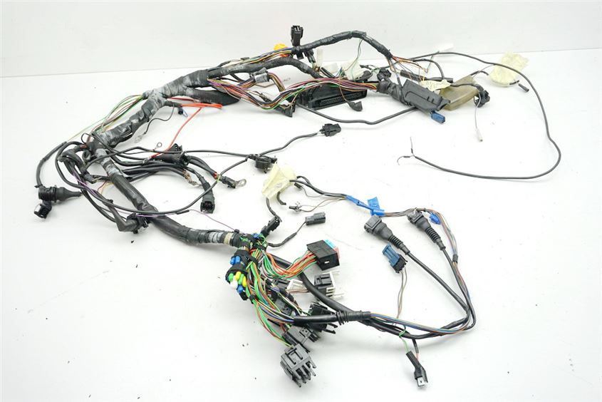BMW R 850 R 259 MAZO DE CABLES CABLEADO PRINCIPAL - HASTA 1997