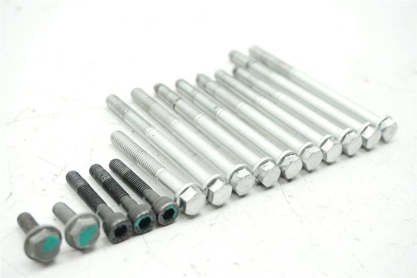 ROYAL ENFIE BULLET 500 EFI ABS SCHRAUBEN LIMADECKEL MOTORDECKEL STATOR