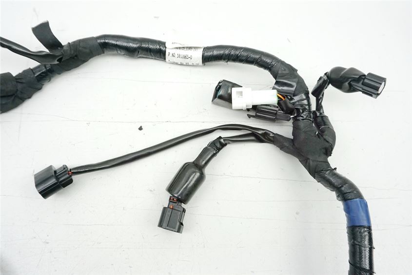 ROYAL ENFIELD BULLET 500 EFI ABS WIRING HARNESS MAIN WIRING HARNESS - 753 KM
