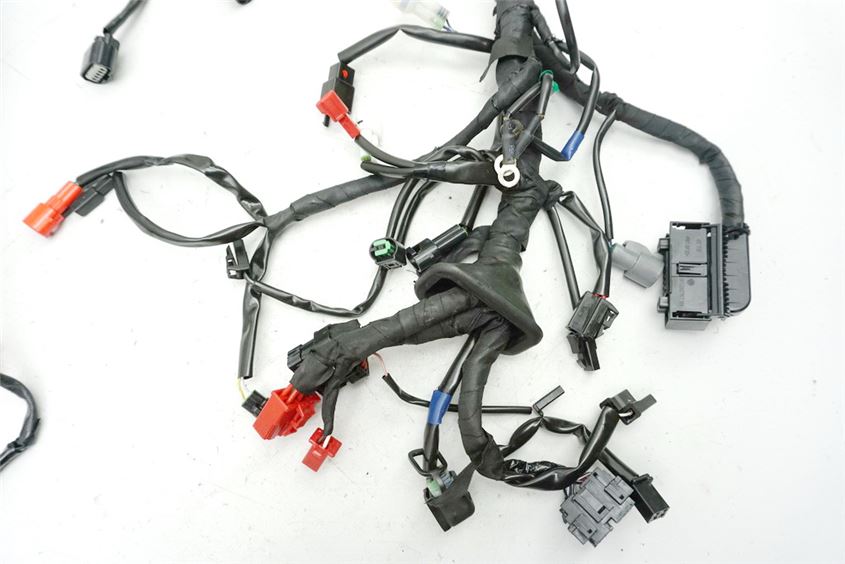 ROYAL ENFIELD BULLET 500 EFI ABS WIRING HARNESS MAIN WIRING HARNESS - 753 KM