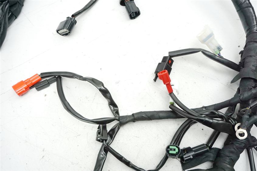 ROYAL ENFIELD BULLET 500 EFI ABS WIRING HARNESS MAIN WIRING HARNESS - 753 KM