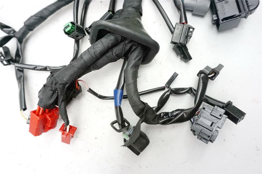ROYAL ENFIELD BULLET 500 EFI ABS WIRING HARNESS MAIN WIRING HARNESS - 753 KM