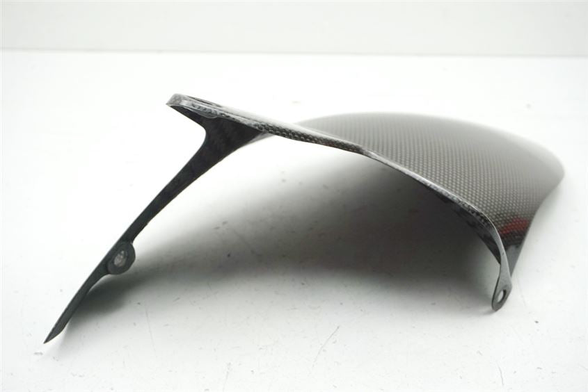 DUCATI MONSTER 1100 EVO ABS M5 HINTERRADABDECKUNG CARBON KOTFLÜGEL FENDER