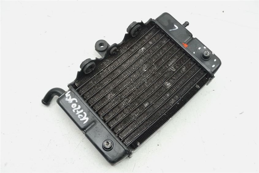 HONDA XL 600 PD06 TRANSALP RADIADOR IZQUIERDO RADIADOR DE AGUA