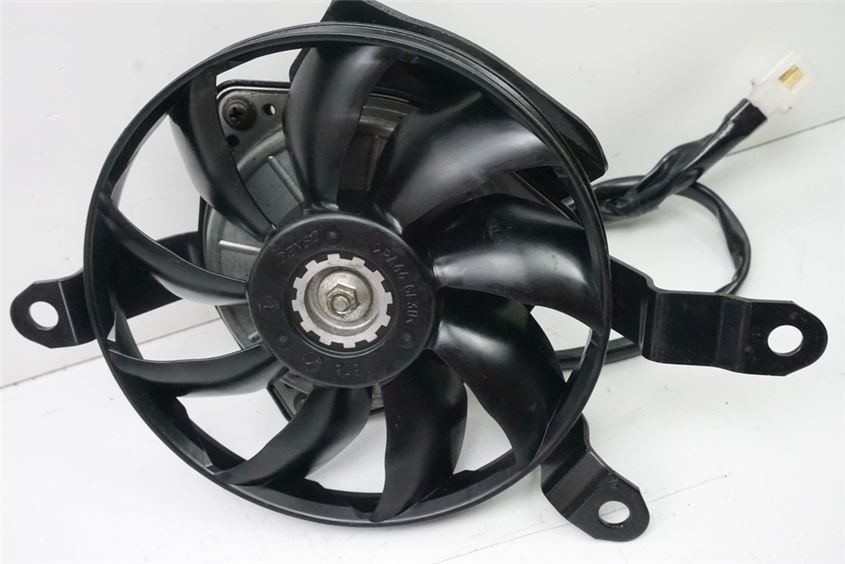 YAMAHA FZ1 S RN16 FAZER VENTILADOR DERECHO ASPAS VENTILADOR RADIADOR MOTOR