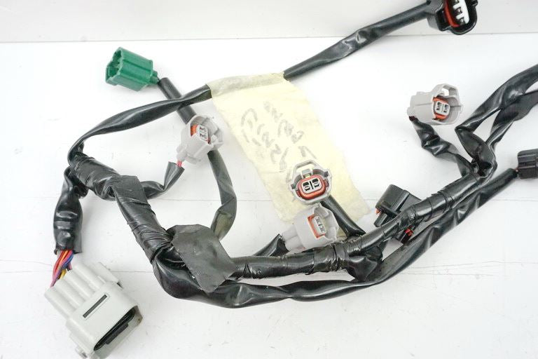 YAMAHA FZ1 S RN16 FAZER CABLEADO DE INYECCIÓN CABLES INYECCIÓN MARIPOSA