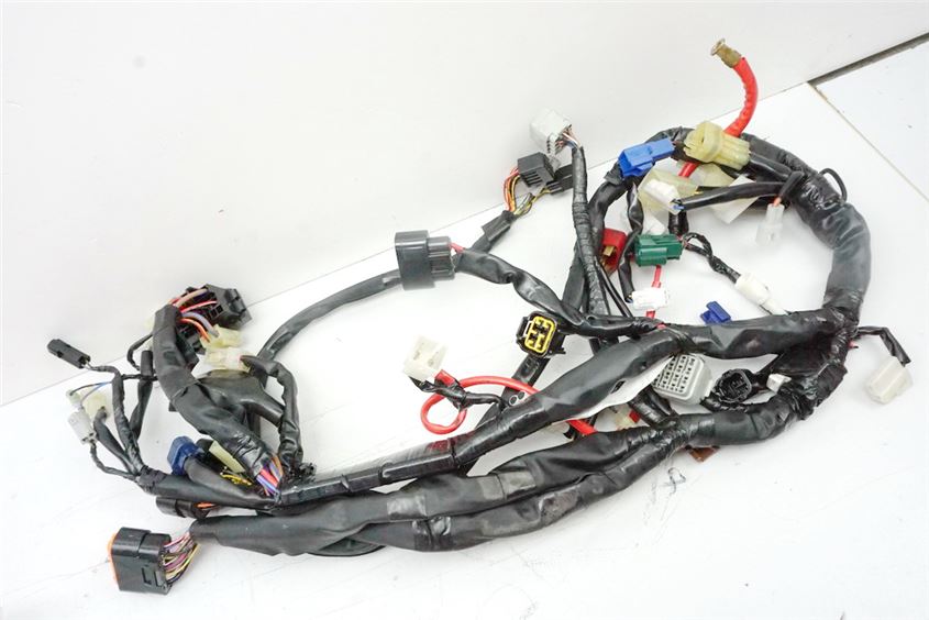 YAMAHA FZ1 S RN16 FAZER CABLEADO PRINCIPAL - SIN ABS